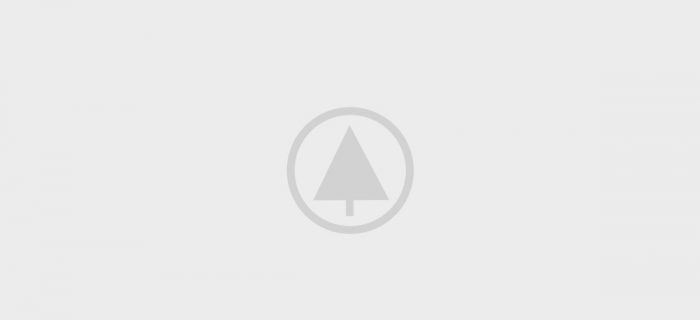 wood-portfolio-placeholder